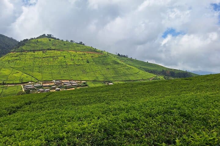 Bandung Crater Adventure: Kawah Putih Hotsprings, Mud Bath & Tea Plantation Day Trip photo 3