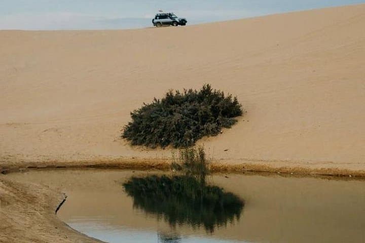 One-Day Fayoum Exploration — Wadi El Rayan, Qarun Lake & Tunis Village photo 2