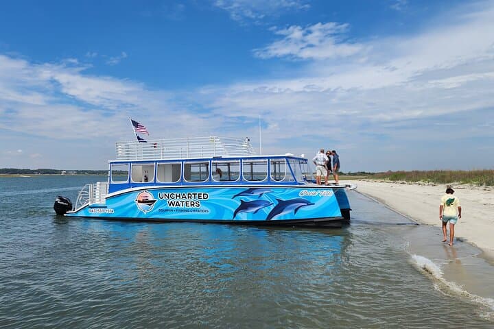 Explore Wild Dolphins and Marine Life on a 2-Hour North Myrtle Beach Catamaran Tour