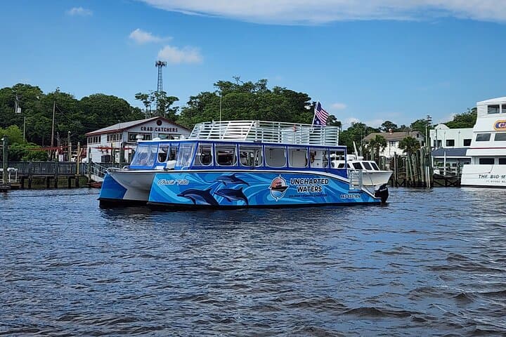 Explore Wild Dolphins and Marine Life on a 2-Hour North Myrtle Beach Catamaran Tour photo 2