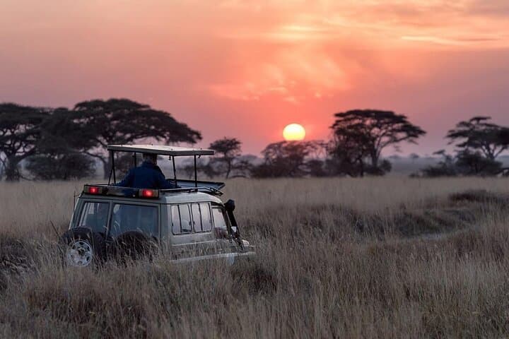 Night Game Drive Nairobi National Park: After-Dark Safari with Rangers photo 2