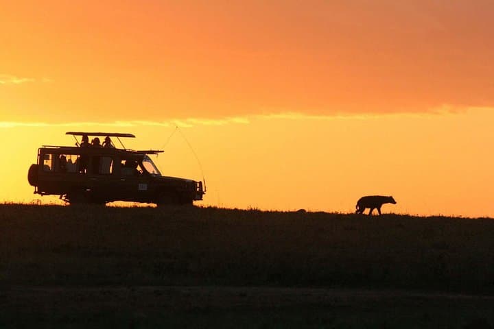 Night Game Drive Nairobi National Park: After-Dark Safari with Rangers photo 4