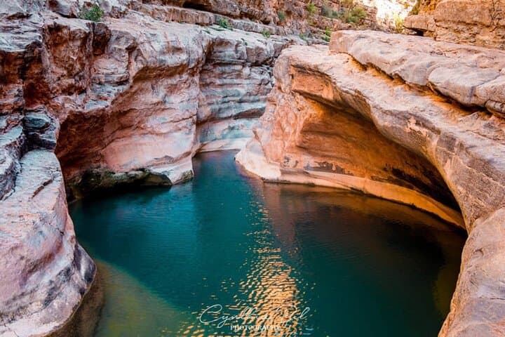 Paradise Valley & Atlas Mountains Day Trip from Agadir — Hike, Swim & Argan Oil Visit photo 6