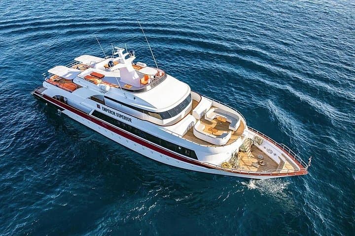 Hurghada Private Full-Day Snorkel Charter to Giftun, Omo Gamaar & Carless Reefs photo 1