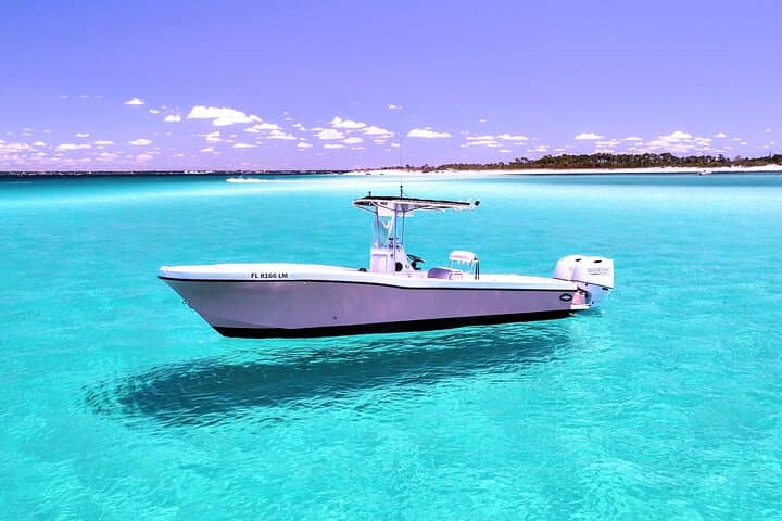 Shell Island Dolphin Tour & Snorkeling: 3-Hour Adventure from Panama City Beach photo 1