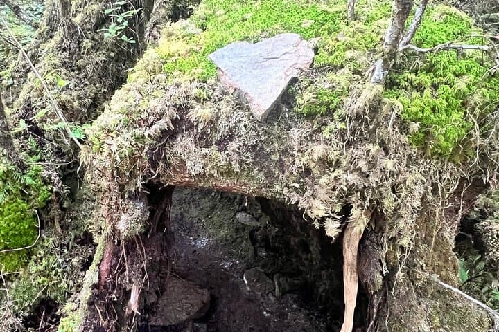 Ward Creek Trail Nature Walk in Ketchikan — Guided Hike Through the Tongass photo 4