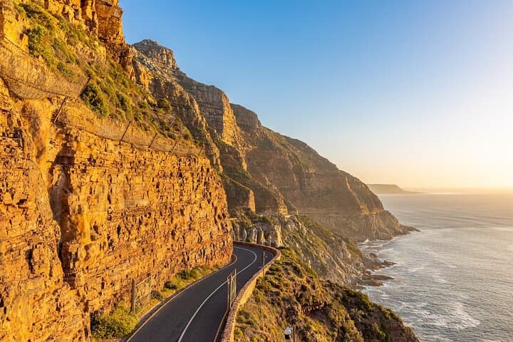 Half-Day African Penguin Tour to Boulders Beach & Cape Peninsula Sights photo 3