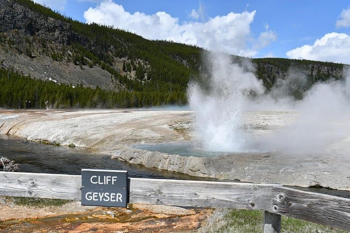 Full-Day Private Yellowstone Tour from Big Sky: Geysers, Wildlife & Waterfalls photo 4