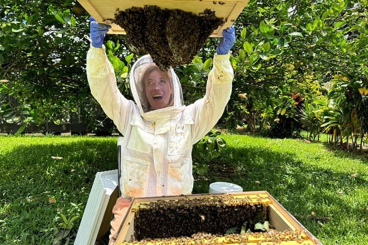 Inside the Hive: Kauai Honey & Bee Tour at Lydgate Farms photo 3