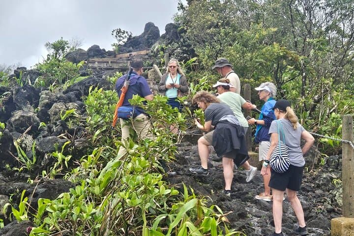Hike Arenal Volcano Lava Flows — Guided Walk to Historic Lava and Lake Views photo 2