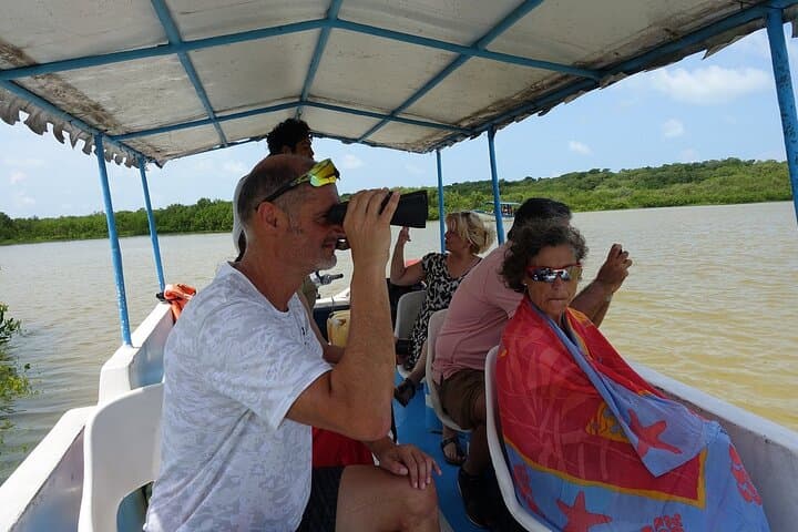 Celestún Mangrove & Flamingo Boat Tour from Mérida — Day Trip to Yucatán’s Pink Flats photo 3