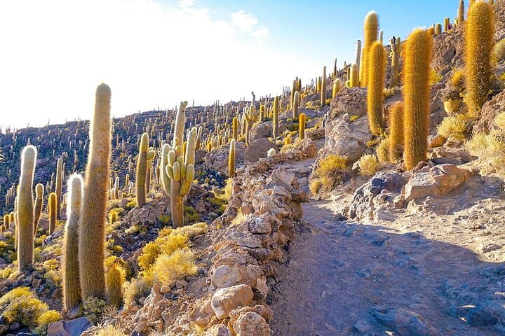 8-Day Private Bolivia Highlights Tour: La Paz, Uyuni, Potosí & Tiwanaku photo 3