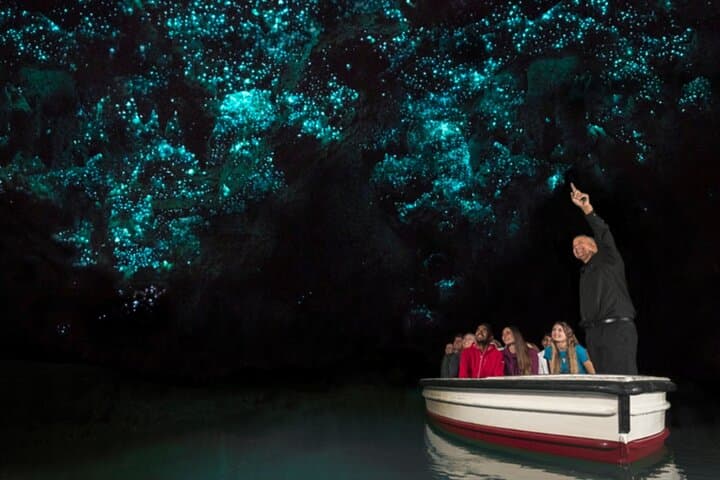 Hobbiton and Waitomo Caves Day Tour from Rotorua — Small-Group Experience photo 6