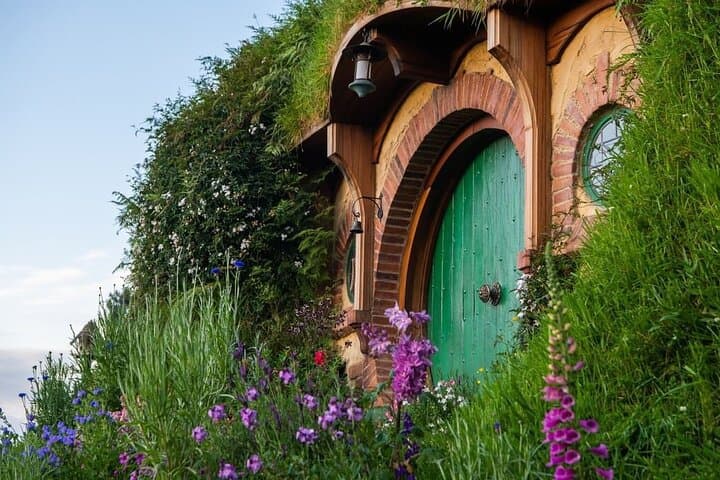 Hamilton to Hobbiton & Waitomo Glowworm Caves — Private One-Day Tour photo 4