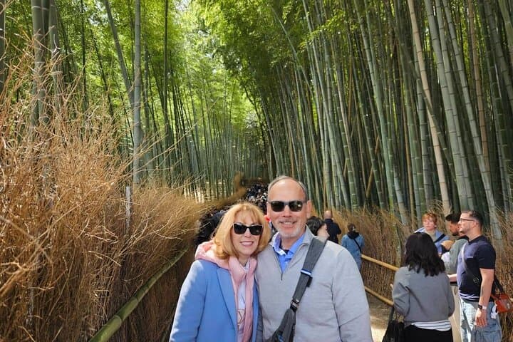 Day Trip to Kyoto from Tokyo by Bullet Train — Kinkaku-ji & Fushimi Inari in One Day photo 5