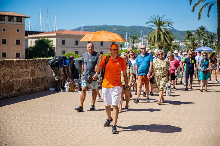 Palma Premium Tour: Guided Old Town Walk & Palma Cathedral Entry photo 4