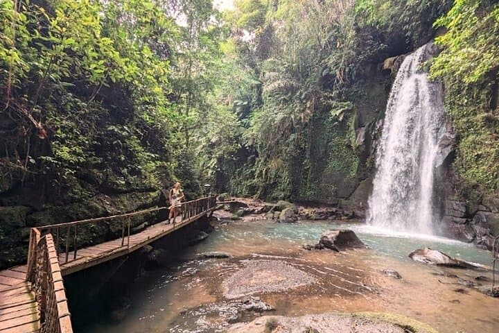 Full-Day Ubud Cultural Tour: Monkey Forest, Waterfalls, Rice Terraces & Swing photo 2