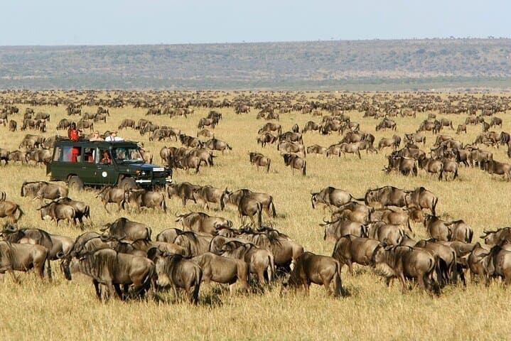 4-Day Maasai Mara & Lake Nakuru Safari — Big Five, Flamingos & Maasai Village photo 5