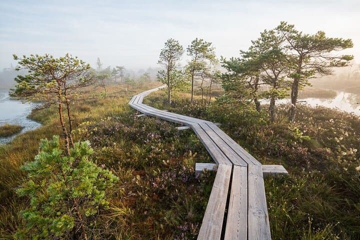 Kemeri & Kuldiga Day Tour: Bog Boardwalks, Waterfalls and Latvian Village Life