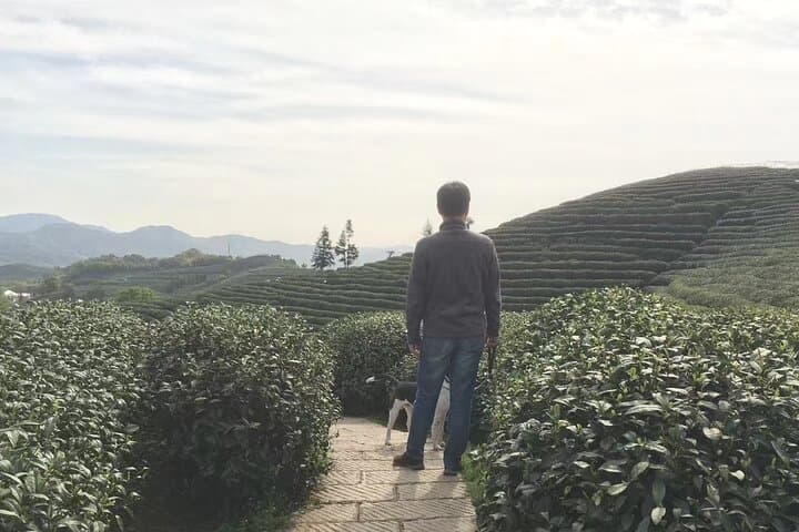 Personalized Hangzhou Private Tour — West Lake, Tea Tasting & Local Life photo 6