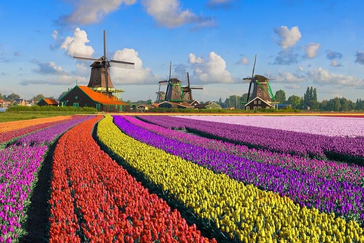 Private Zaanse Schans & Volendam Tour from Amsterdam — Windmills, Cheese and Harbour Strolls photo 2