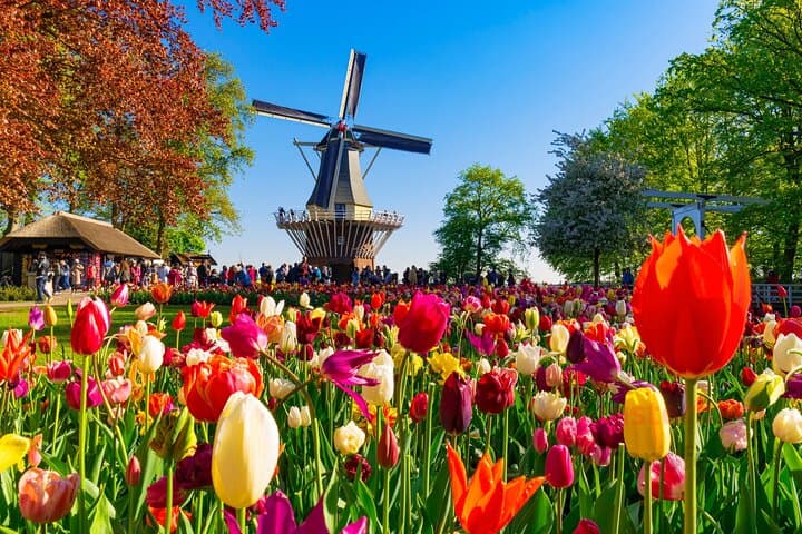 Private Zaanse Schans & Volendam Tour from Amsterdam — Windmills, Cheese and Harbour Strolls photo 3