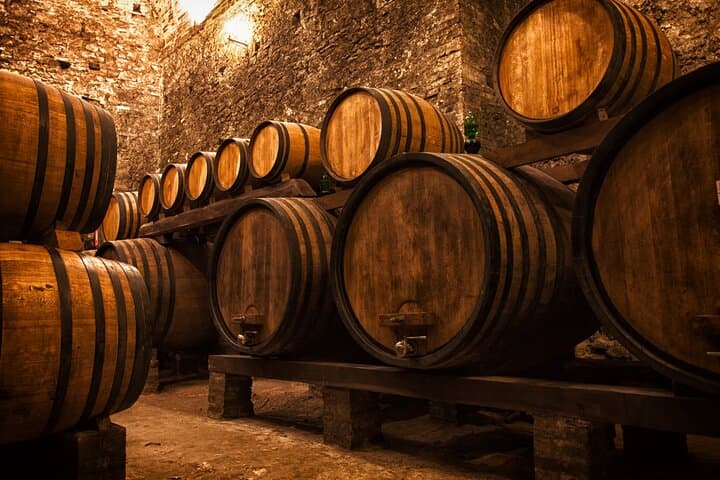 Arrábida & Setúbal Vineyards: Private Day Trip from Lisbon photo 3