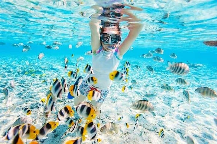 Sharm El Sheikh White Island & Ras Mohamed Snorkel Cruise with BBQ Lunch photo 4
