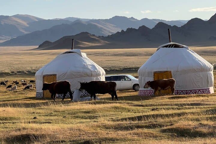 Golden Eagle Festival Bayan-Olgii Mongolia: Kazakh Eagle Hunters Tour photo 6