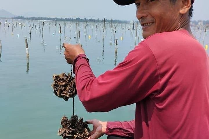 Lang Co Oyster Tour — Hai Van Pass, Lagoon Fishing & Fresh Oyster Tasting photo 4