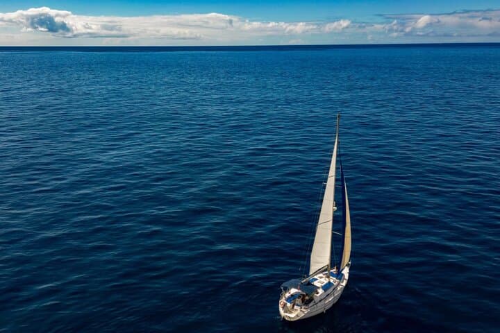 Private 3-Hour Sailing from Puerto Colón — Dolphin & Whale Watching in Tenerife