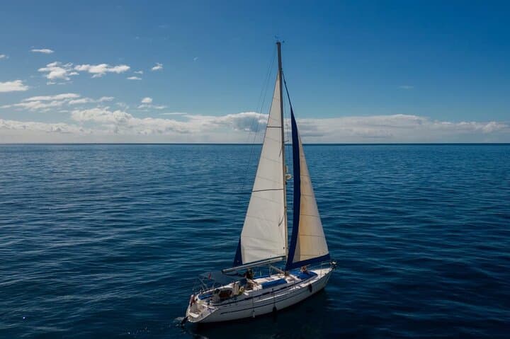 Private 3-Hour Sailing from Puerto Colón — Dolphin & Whale Watching in Tenerife photo 2