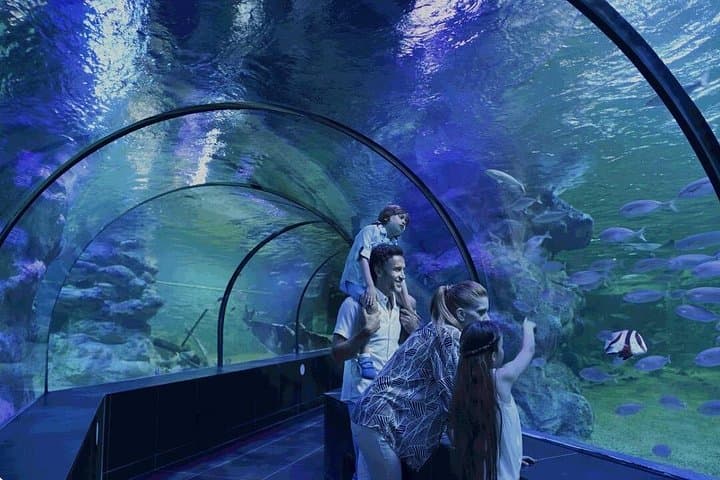 Istanbul Adrenaline Tour — Çamlıca Views, Bosphorus Zipline, Aquarium & ATV photo 3