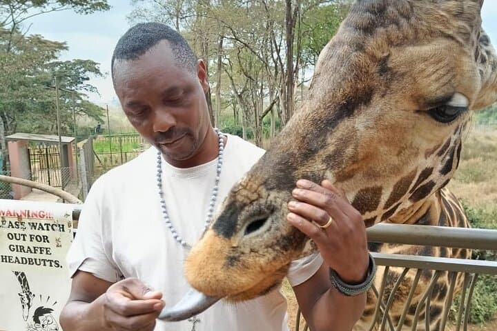 Shared Nairobi Day Tour: Karen Blixen, Giraffe Centre & KICC Rooftop