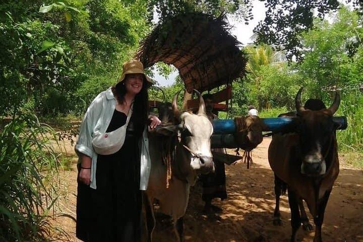 Negombo to Trincomalee: Transfer with Habarana Safari & Village Experience photo 3