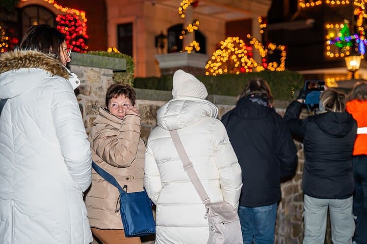 Dyker Heights Holiday Lights Bus Tour — Luxury Evening from Manhattan photo 6