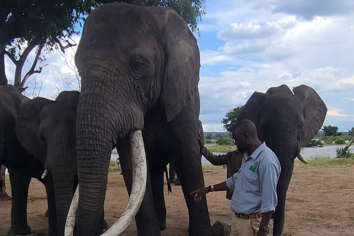 River and Savannah: Chobe Day Safari from Kasane photo 3