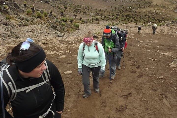 5-Day Mount Kenya Hike via Chogoria Route from Nairobi photo 4