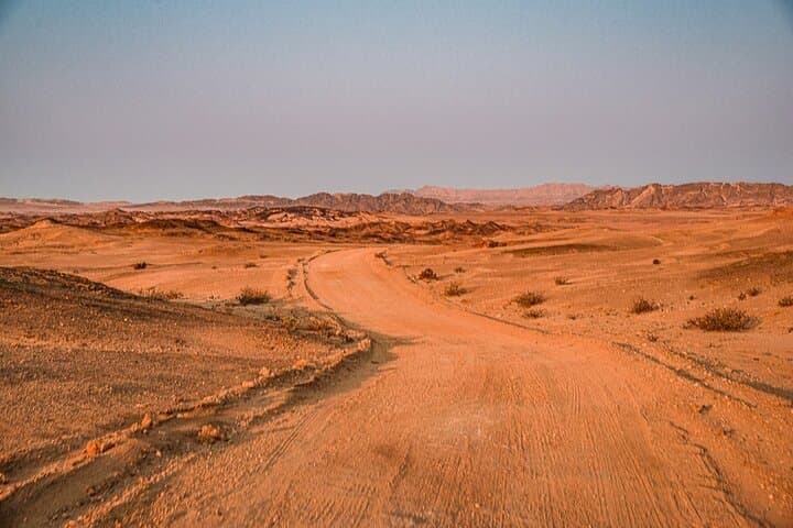 Moon Landscape Tour — Namib Desert Welwitschia, Musical Rocks & Goanikontes Oasis from Swakopmund