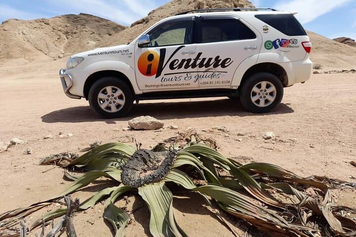 Moon Landscape Tour — Namib Desert Welwitschia, Musical Rocks & Goanikontes Oasis from Swakopmund photo 2
