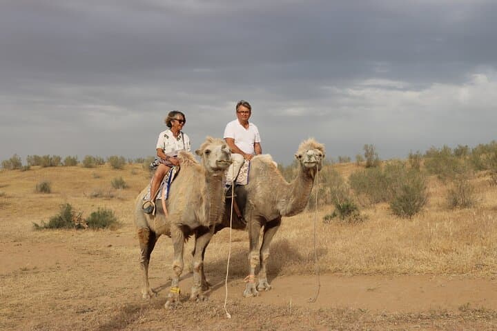 Aydar Lake Yurt Camping: 2-Day Desert Yurt Adventure from Bukhara photo 2