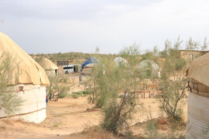 Aydar Lake Yurt Camping: 2-Day Desert Adventure from Samarkand photo 3