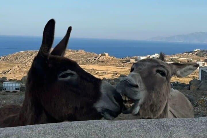 Half-Day Mykonos Private Tour: Lighthouse, Beaches & Ano Mera photo 4