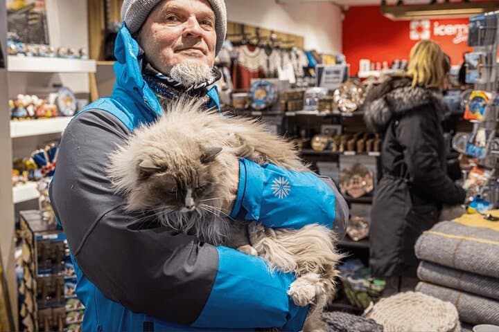 Reykjavik CatWalk: Self-Guided Feline Art & Café Walking Tour photo 5