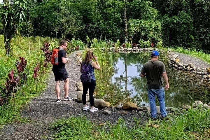 La Fortuna Birdwatching Experience: Guided Rainforest Birding Near Arenal Volcano photo 3