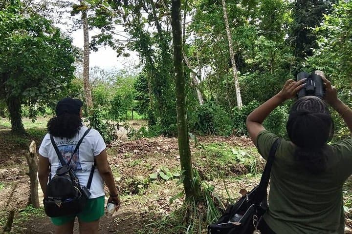 La Fortuna Birdwatching Experience: Guided Rainforest Birding Near Arenal Volcano photo 4
