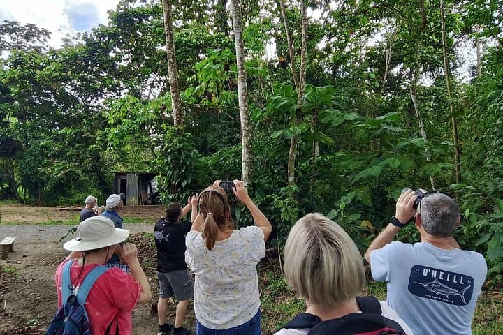 La Fortuna Birdwatching Experience: Guided Rainforest Birding Near Arenal Volcano photo 5