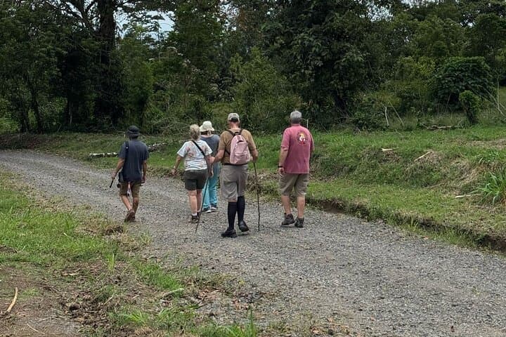 La Fortuna Birdwatching Experience: Guided Rainforest Birding Near Arenal Volcano photo 6