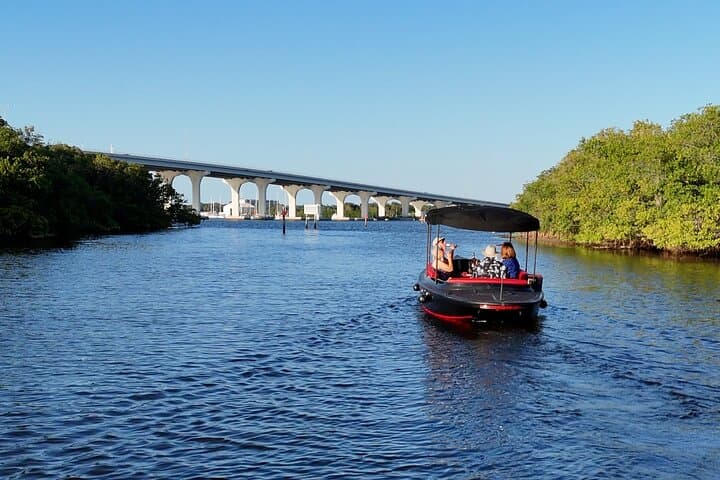 Silent-Electric Dolphin Cruise on the Indian River Lagoon — Vero Beach Eco Tour photo 3