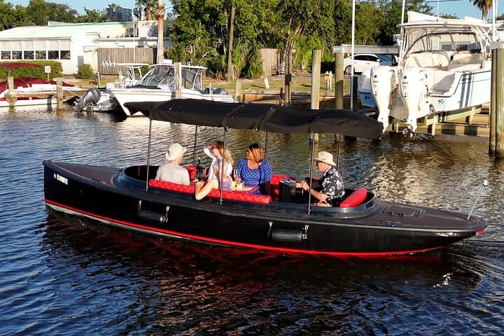 Silent-Electric Dolphin Cruise on the Indian River Lagoon — Vero Beach Eco Tour photo 4